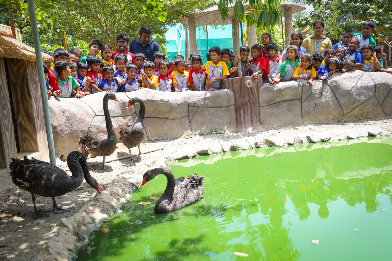 Picnic – A Day Out with KG & Primary 2026